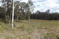 Property photo of LOT 271 Armidale Road Temagog NSW 2440