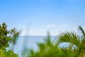 Property photo of 341 David Low Way Peregian Beach QLD 4573