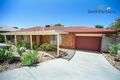 Property photo of 7 Zonta Place Modbury North SA 5092