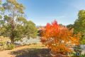 Property photo of 64 Downard Street Calwell ACT 2905
