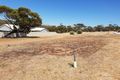 Property photo of 14 Rayner Loop Nunile WA 6566