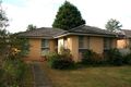 Property photo of 54 Judith Drive North Nowra NSW 2541