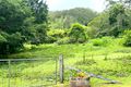 Property photo of 386 Harper Creek Road Conondale QLD 4552