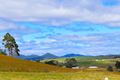 Property photo of 20 Clarkes Road South Riana TAS 7316