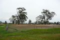 Property photo of Swanson Street Wilby VIC 3728