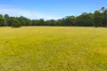Property photo of 240 Cabbage Tree Lane Mundamia NSW 2540