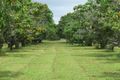 Property photo of 120 Mount Kelly Drive Mount Kelly QLD 4807