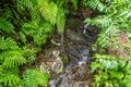 Property photo of 61 Waterfall Place Jubilee Heights QLD 4860