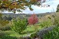 Property photo of 92 Turner Road Bridgetown WA 6255
