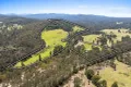 Property photo of 419 Freestone Creek Road Briagolong VIC 3860