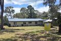 Property photo of 384 Torquay Terrace Torquay QLD 4655