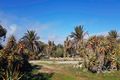 Property photo of 35 Lowey Road Windsor SA 5501