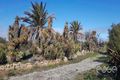 Property photo of 35 Lowey Road Windsor SA 5501