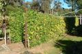 Property photo of 17 Burkinshaw Road Glen Forrest WA 6071