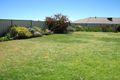 Property photo of 52 Back Creek Road Young NSW 2594