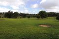 Property photo of 1174 Theresa Creek Road Millaa Millaa QLD 4886