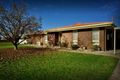 Property photo of 100 Kennedy Street Howlong NSW 2643