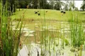 Property photo of 459 Orara Way Coramba NSW 2450
