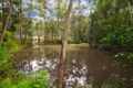 Property photo of 590 Bunya Road Eumundi QLD 4562