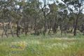 Property photo of 32 Stevenson Way Orange NSW 2800