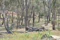 Property photo of 32 Stevenson Way Orange NSW 2800