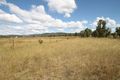Property photo of 116 Iron Barks Road Kains Flat NSW 2850