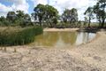 Property photo of 116 Iron Barks Road Kains Flat NSW 2850
