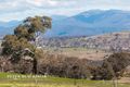 Property photo of 16 Elsey Street Hawker ACT 2614