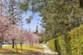 Property photo of 3/10 Dominion Circuit Forrest ACT 2603