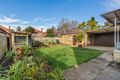 Property photo of 17 Yeo Avenue Ashfield NSW 2131