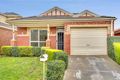 Property photo of 34 Waterford Avenue Craigieburn VIC 3064