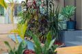 Property photo of 23 Macmillan Street Ayr QLD 4807