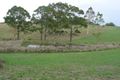 Property photo of 3 Helmich Close Wingham NSW 2429