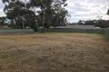 Property photo of 50 Jollytown Road Lyndoch SA 5351