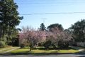 Property photo of 71 Baulkham Hills Road Baulkham Hills NSW 2153