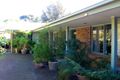 Property photo of 2 Gilding Avenue Royston Park SA 5070