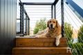 Property photo of 12 Eden Hills Drive Riverside TAS 7250