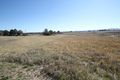 Property photo of 10 Industrial Drive Quirindi NSW 2343