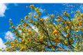 Property photo of 170 Black Creek Road Nerimbera QLD 4701