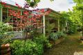 Property photo of 125 Hargraves Street Castlemaine VIC 3450