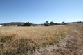 Property photo of 10 Industrial Drive Quirindi NSW 2343