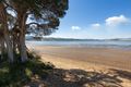 Property photo of 13 Swan Point Esplanade Swan Point TAS 7275