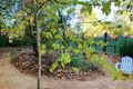 Property photo of 31 Chewings Street East Side NT 0870