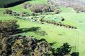 Property photo of 1615 Sunny Corner Road Meadow Flat NSW 2795