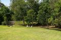 Property photo of 179 Mount O'Reilly Road Samford Valley QLD 4520