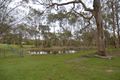 Property photo of 260 Pheasants Nest Road Pheasants Nest NSW 2574