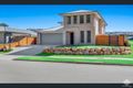 Property photo of 19 Wollombi Avenue Ormeau Hills QLD 4208