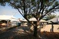Property photo of 12 Carlisle Road Westbourne Park SA 5041