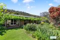 Property photo of 318 Back Kootingal Road Nemingha NSW 2340