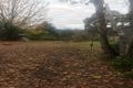 Property photo of 26 Emerald-Monbulk Road Emerald VIC 3782